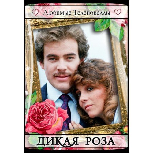 Дикая роза сериал Постер