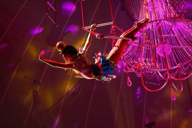 Принцесса цирка