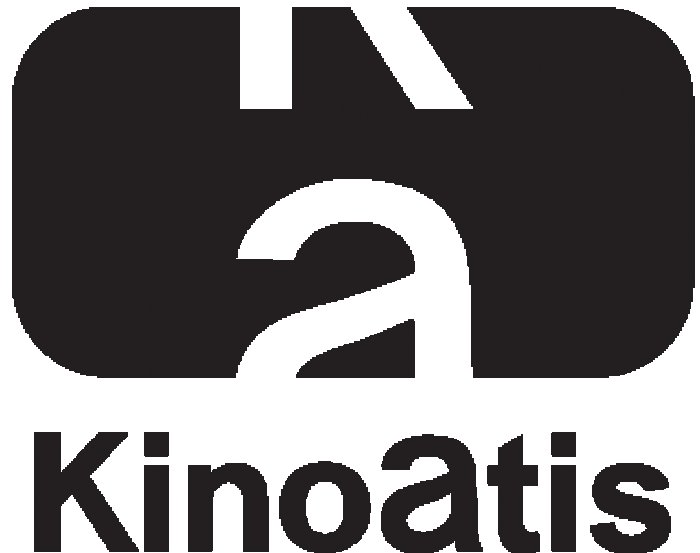 КИНОАТИС Саров