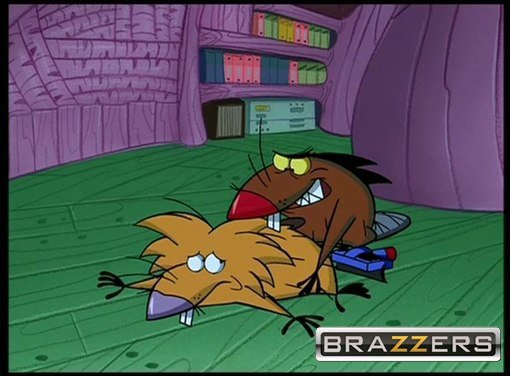 Бобры Деггет и Норберт