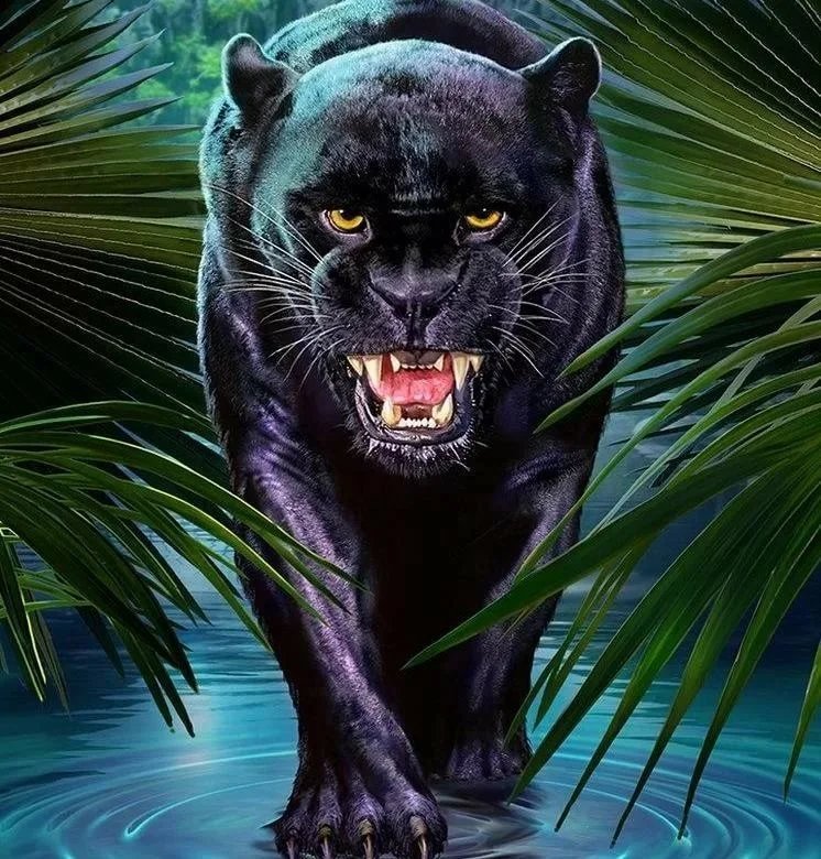 Черная пантера Маугли