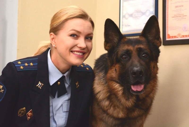 Возвращение Мухтара се