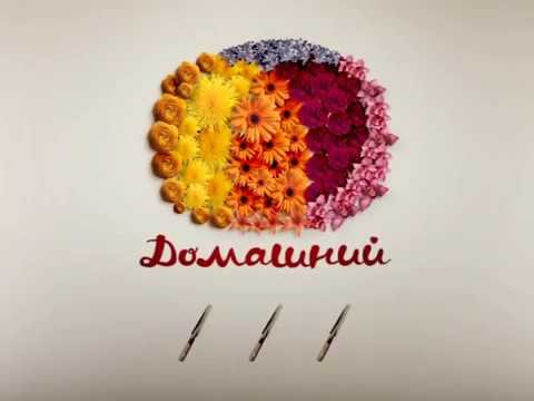 Оригинал заставки домашний