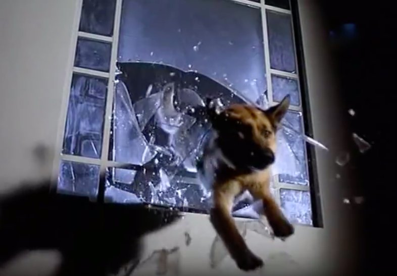 Комиссар рекс сериал