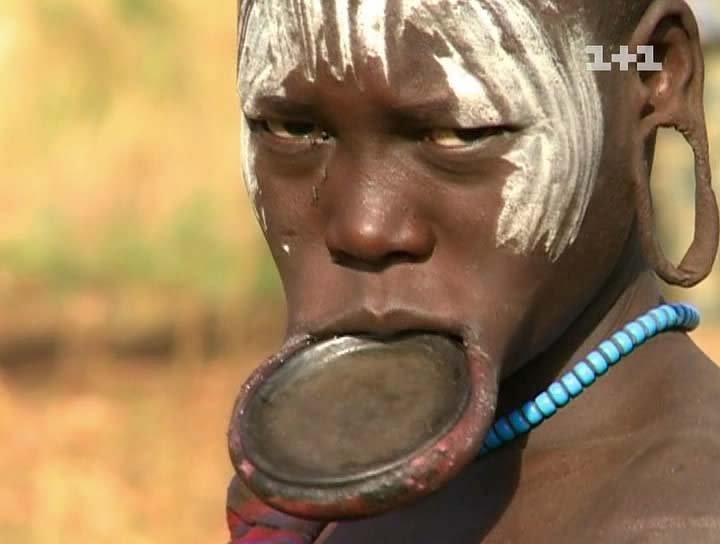 Дмитрий комаров Африка