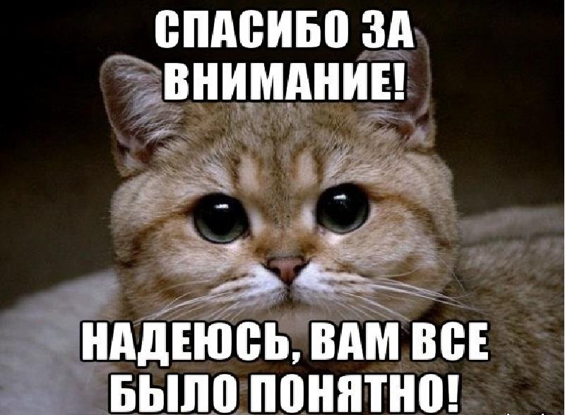 Спасибо за внимание