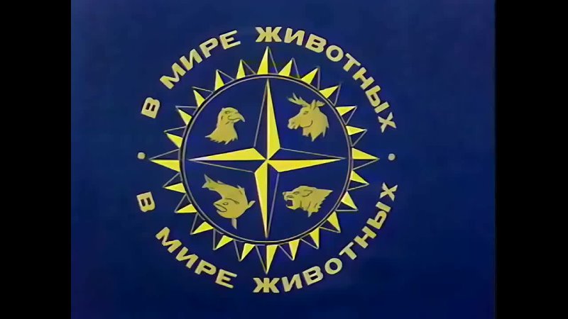 В мире животных заставка