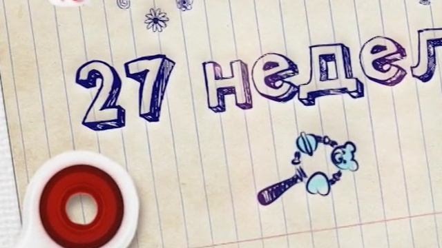 Беременна в 16 иллюстрации