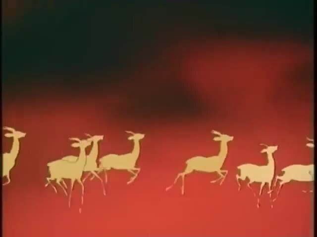 Заставка программы в мире животных