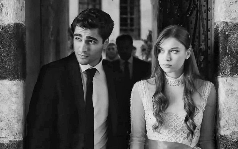 Сейран Зимородок