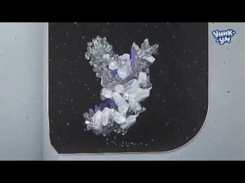 Телеканал детский Уникум