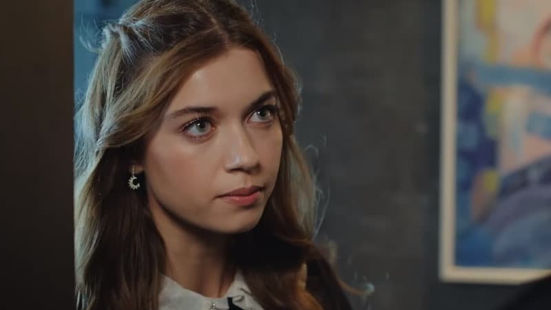 Зимородок сериал с 2022