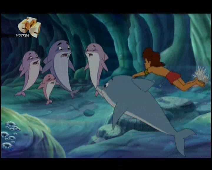 Флиппер и Лопака СТС