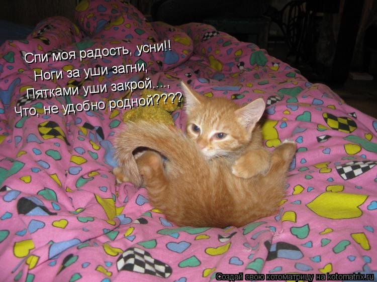 Спи моя радость усни рисунок