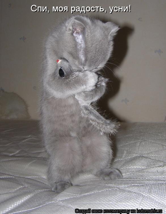 Спи, моя радость