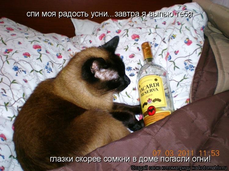 Спи моя радость усни картинки