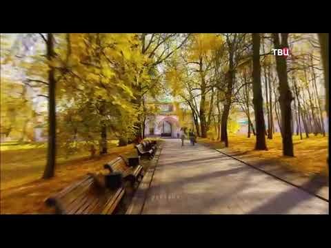 Заставка ТВ центр осень