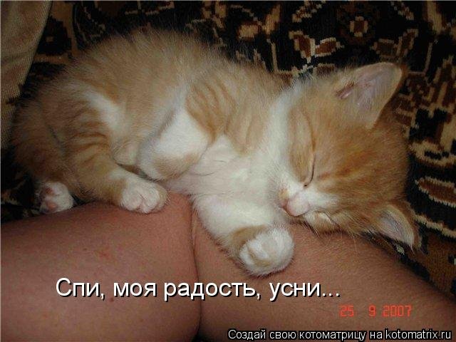 Спи моя радость усниии