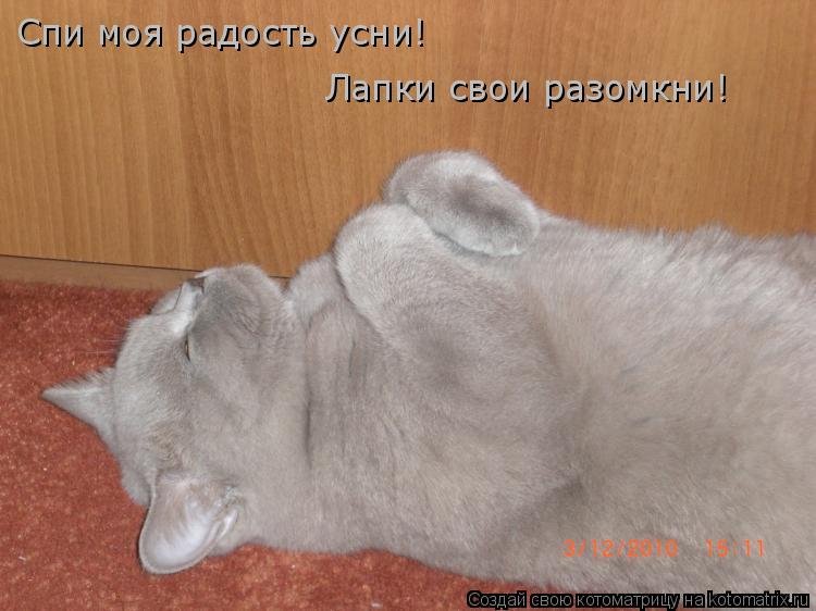 Открытка спи моя радость усни