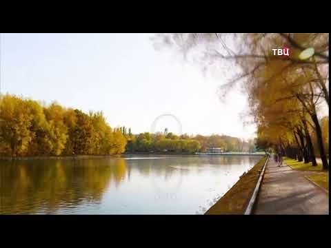 Рекламные заставки ТВ центр осень 2019