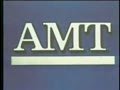 Фирма АМТ