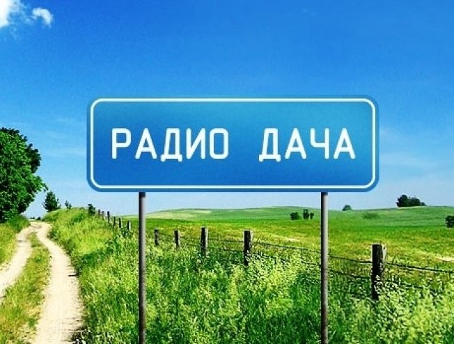 Радио дача