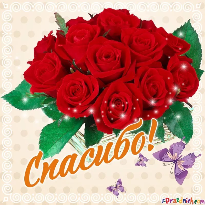 Открытки спасибочки