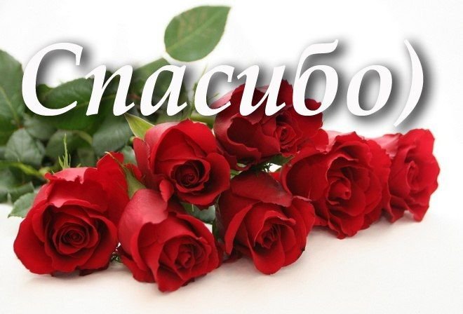 Спасибо цветы