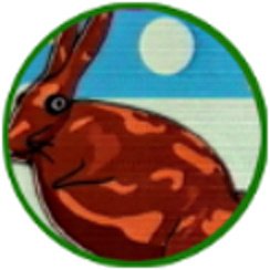 Шутка за шуткой зайцы