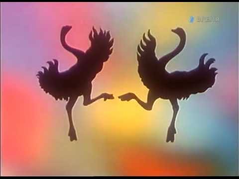 В мире животных передача