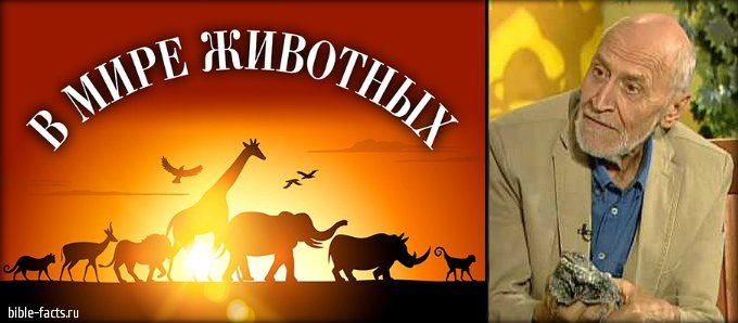 Николай Дроздов в мире животных