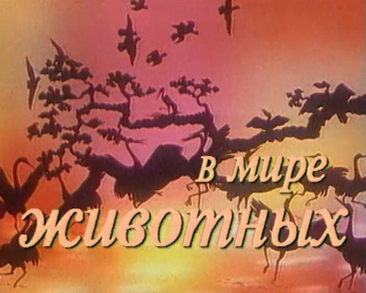В мире животных ОРТ