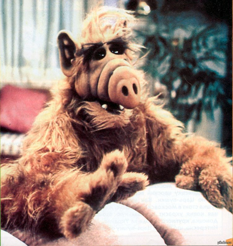 Альфа с планеты Мелмак