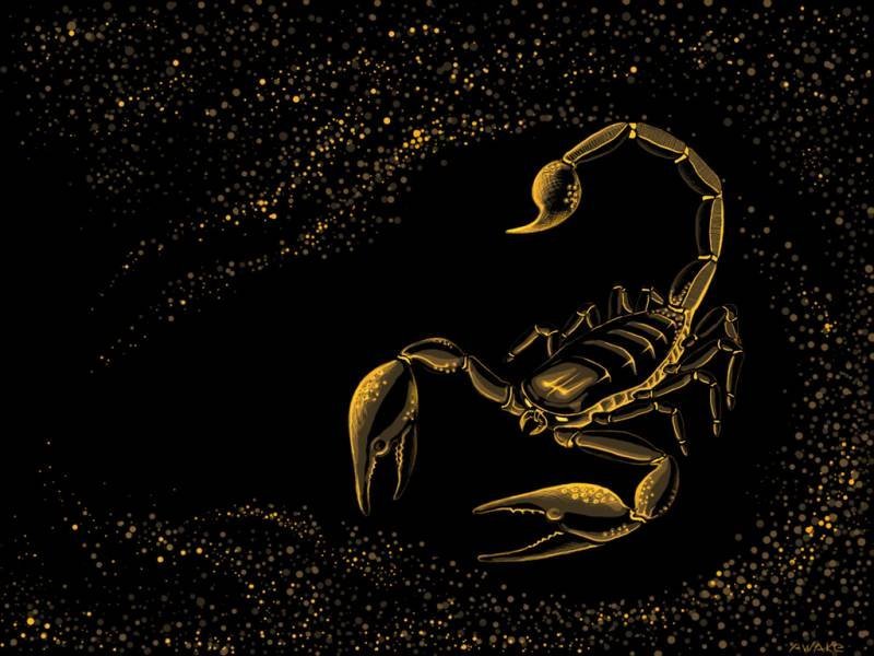 Знак зодиака Скорпион