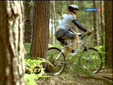 Мастер спорта Бибигон