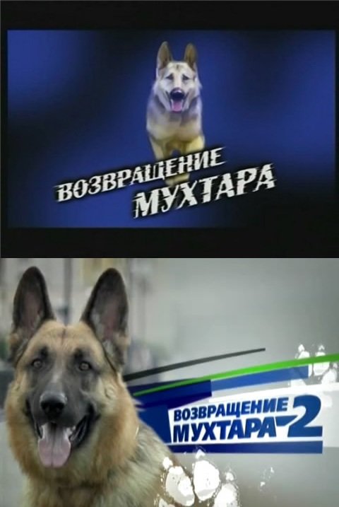 Возвращение Мухтара 1 сезон титры