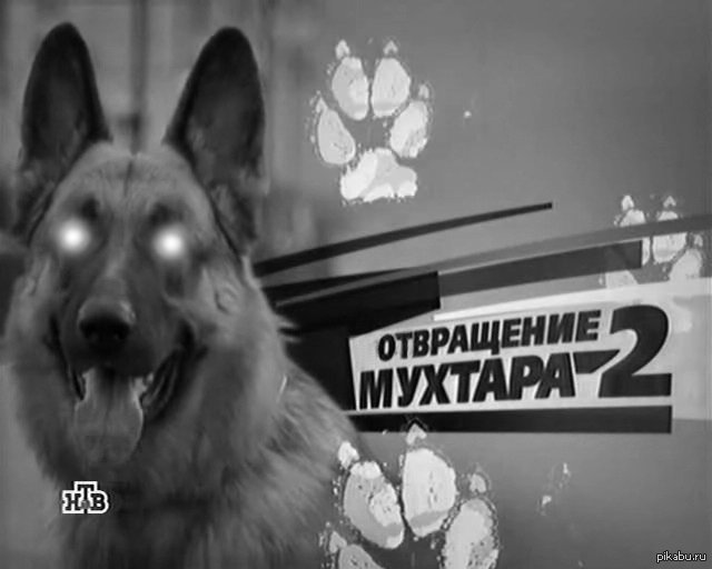 Мухтар заставка