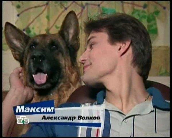 Возвращение Мухтара Александр Волков