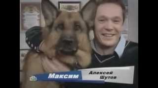 Возвращение Мухтара 2 с Алексеем Шутовым