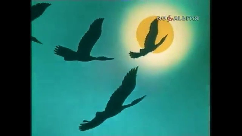 Заставка передачи в мире животных