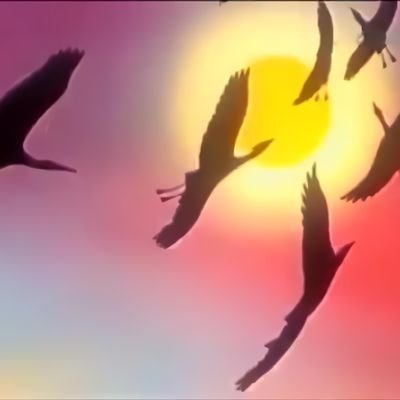 Поль Мориа в мире животных