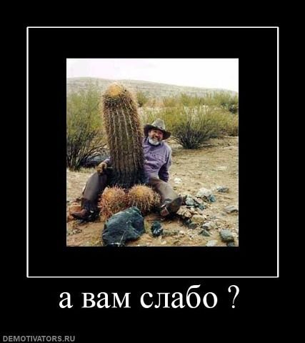 А вам слабо фото