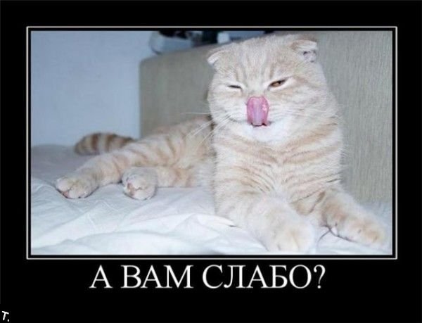А вам слабо смешные картинки