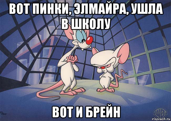 Вот Пинки вот и Брейн