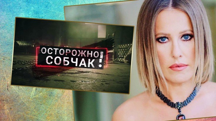 Осторожно собака