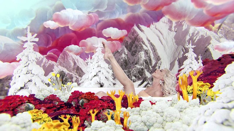 ТНТ заставка 2014