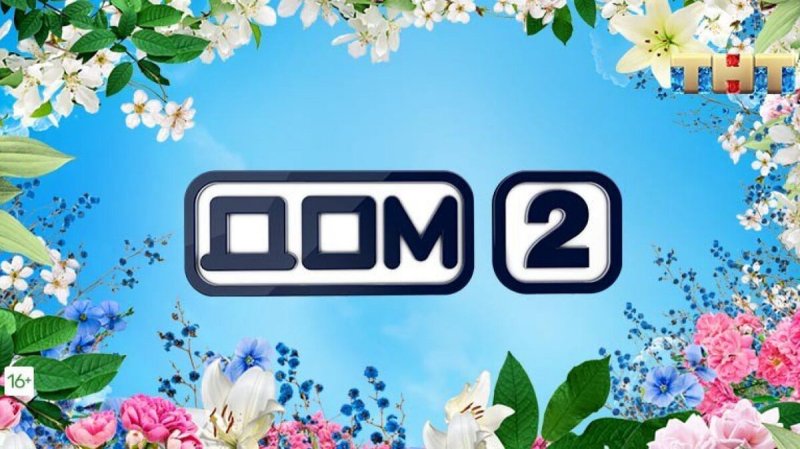 Дом 2 ТНТ логотип