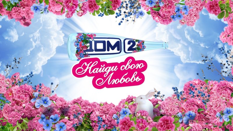 Дом 2 логотип