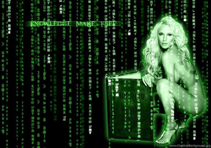 Матрица обои