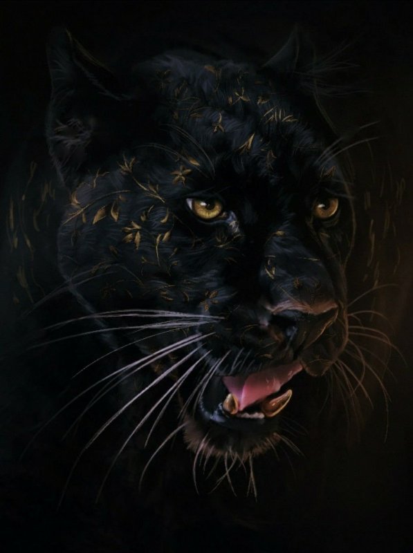 Оскал пантеры